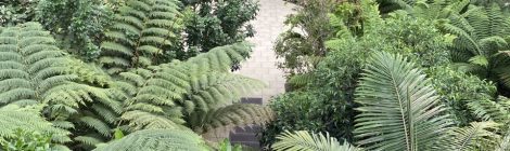 Wellbeing Day – The International Office Explores the tranquil spaces of Kew Gardens