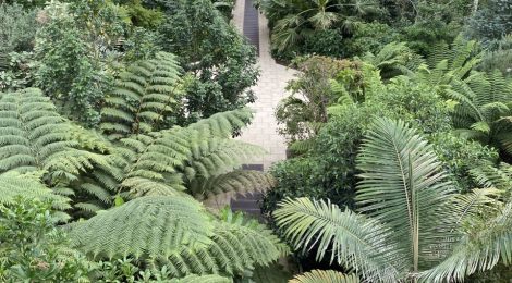 Wellbeing Day – The International Office Explores the tranquil spaces of Kew Gardens